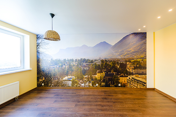 custom vinyl wall murals for offices